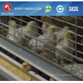 Hot Sale Cage for Algeria Farm